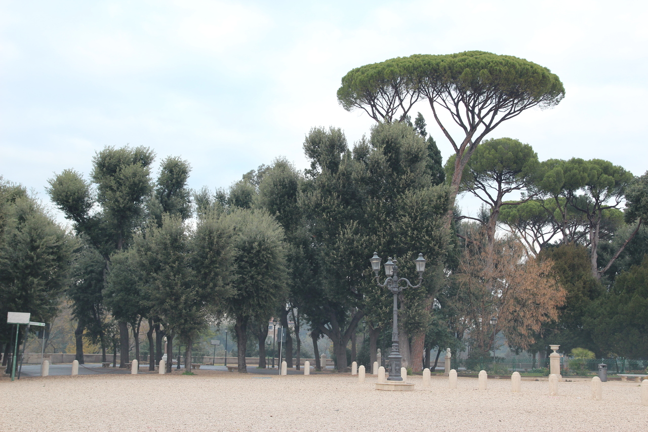 Italy (Jan 2012) 056.jpg